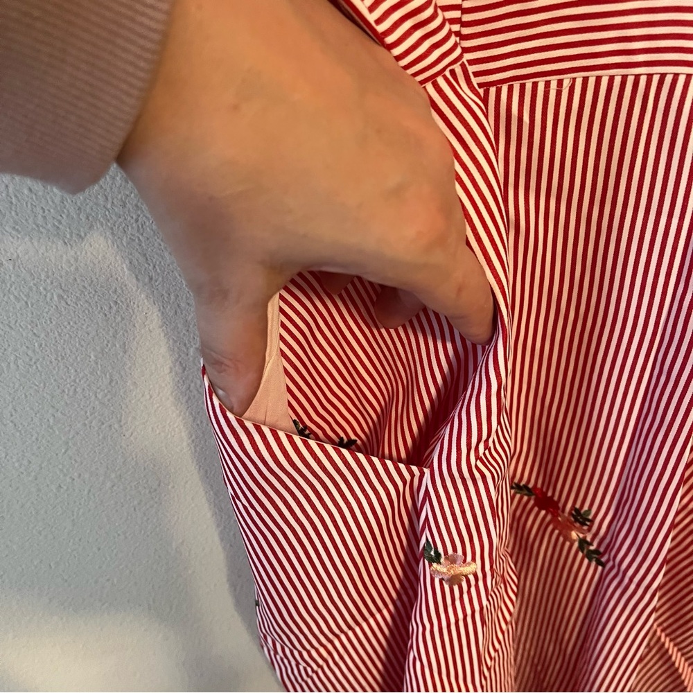 Skies Are Blue. ❤️🤍 Red & White Striped Embroidered Dress 🤍❤️ - Picture 6 of 6
